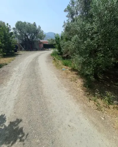 6.250.00 TL  Tek Tapu   Kirazlık - Arazi | Zero Emlak - Fotoğraf 3 Arka Plan