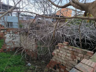 ACİL SATILIK – FIRSAT FİYAT    120 M² ARSA - Arazi | Zero Emlak - Fotoğraf 5 Arka Plan