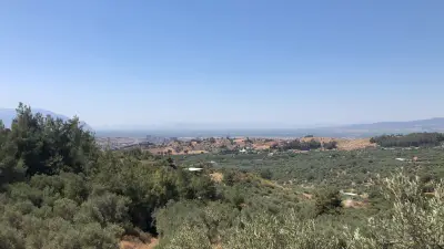 Turgutlu Yayla’da Manzaralı Zeytinlik – Doğayla İç İçe Yaşam  4 gün geçerli fiyat - Arazi | Zero Emlak - Fotoğraf 1 Arka Plan