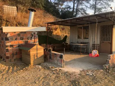 Turgutlu Yayla’da Manzaralı Zeytinlik – Doğayla İç İçe Yaşam  4 gün geçerli fiyat - Arazi | Zero Emlak - Fotoğraf 11 Arka Plan