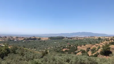 Turgutlu Yayla’da Manzaralı Zeytinlik – Doğayla İç İçe Yaşam  4 gün geçerli fiyat - Arazi | Zero Emlak - Fotoğraf 5 Arka Plan